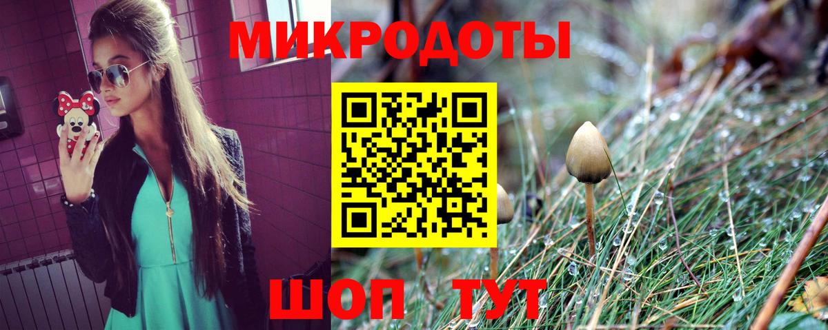 Азнакаево  Галлюциногенные грибы Psilocybe  Вход с VPN 
